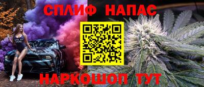 прущие грибы Пыть-Ях
